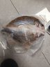 海鮮頌三去海鱸魚 海捕大鱸魚 開背 福建 鱸魚 生鮮魚類 海鮮水產(chǎn) 曬單實(shí)拍圖