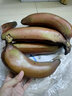  帆兒莊園 應(yīng)季水果紅皮美人香蕉新鮮水果生鮮 約2.5kg 曬單實拍圖