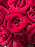 薔薇戀鮮花速遞同城配送紅玫瑰花束表白送女友老婆求婚生日禮物紀念日 99朵紅玫瑰-愛(ài)心款 同城配送/預約送花時(shí)間-聯(lián)系客服 曬單實(shí)拍圖