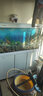 閩江中大型金魚(yú)缸上過(guò)濾水族箱鞋柜儲物懶人免換水長(cháng)方形家用客廳魚(yú)缸 白色 長(cháng)120x寬30x缸高73.5+柜高74 曬單實(shí)拍圖