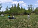 M1&M2童鞋女童帆布鞋男童室內(nèi)鞋幼兒園室外小白鞋兒童鞋子女學(xué)步鞋398 深藍(lán) 31 適合腳長19cm 曬單實拍圖