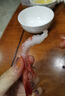嘗鮮生 腹籽甜蝦刺身 俄羅斯進(jìn)口甜蝦日料拼盤(pán)刺身大蝦 【LA】1kg 曬單實(shí)拍圖