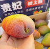 舅甜果蔬海南樹(shù)上熟貴妃芒（順豐空運多地隔日達）新鮮現摘紅金龍芒果禮盒 4.5斤 嚴選大果禮盒裝 曬單實(shí)拍圖