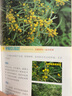 最貼近青少年生活的科普叢書：植物觀察指南 曬單實(shí)拍圖