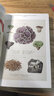 蘑菇圖鑒（法布爾、南方熊楠等菌類(lèi)學(xué)者的珍貴手稿，科學(xué)性與藝術(shù)性并存的絕美畫(huà)集） 曬單實(shí)拍圖