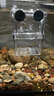 邊勝魚(yú)缸隔離盒孔雀魚(yú)繁殖盒孵化盒亞克力產(chǎn)卵魚(yú)卵魚(yú)苗繁殖箱小魚(yú)產(chǎn)房 單格10*10*10【吸盤(pán)款】 曬單實(shí)拍圖