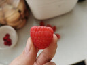 獨愛(ài)（DUAR）新鮮樹(shù)莓 覆盆子 怡顆莓 新鮮水果樹(shù)莓黑莓 紅110g*4盒子 曬單實(shí)拍圖