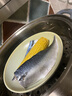 霜海國產(chǎn)鹽漬青花魚可煎可烤冷凍青花魚片生鮮海鮮水產(chǎn)單片獨立裝 85g*20袋 獨立包裝 曬單實拍圖