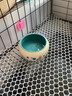 jolly pet productsJOLLY寵物兔子食盆食物碗草架水果造型陶瓷防翻食盤(pán)垂耳兔用品 卡通動(dòng)物防濺食盆 曬單實(shí)拍圖