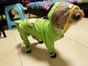 嬉皮狗（hipidog）狗狗雨衣夏季衣服寵物狗夏天泰迪比熊小型犬動(dòng)物造型牽引出行雨衣 青蛙蒂安綠 2XL 建議體重16-20斤 曬單實(shí)拍圖
