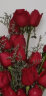爱花居鲜花速递520情人节红玫瑰花束礼盒生日礼物送女友老婆同城配送 19枝红玫+情人草|DS205 实拍图