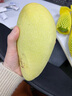 卓勵行越南進(jìn)口大青芒果玉芒果青芒大芒果生鮮新鮮水果 現摘 越南大青芒5斤 曬單實(shí)拍圖