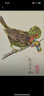 財務(wù)裝訂機(jī)鉚管剪鉗憑證裝訂機(jī)通刀磨刀器齊心會計裝訂機(jī)通針金典財務(wù)裝訂機(jī)鉆刀六角板手晨光相思門T型板手 財務(wù)機(jī)通刀器通針 曬單實(shí)拍圖
