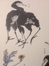 當(dāng)當(dāng)李苦禪大寫(xiě)意花鳥(niǎo)畫(huà)稿 曬單實(shí)拍圖
