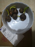 綠植彼岸花種子曼珠沙華盆栽彼岸花種球石蒜花室內(nèi)四季種花卉 少-混色 5個彼岸花種球+盆+肥+生根粉 曬單實拍圖