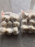 禧相迎【新鮮現做】無(wú)錫宜興特產(chǎn)白團子手工大米摻糯米蘿卜絲肉團子青團 純肉(10個(gè)裝) 曬單實(shí)拍圖
