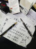 英雄（HERO）美工筆鋼筆暗尖彎頭彎尖硬筆書(shū)法筆成人練字專(zhuān)用男女手繪書(shū)法美工鋼筆 免費刻字 麗雅黑銥金筆+金屬灰軟筆 曬單實(shí)拍圖
