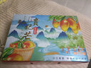 椰惠【順豐】樹上熟海南貴妃芒小芒果新鮮水果三亞禮盒裝當季 【樹上熟小貴妃芒果】8斤-禮盒裝 【順豐陸運+8分熟度】 曬單實拍圖