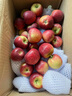 三萌果蔬煙臺蘋(píng)果棲霞紅富士新鮮水果山東特產(chǎn)脆甜蘋(píng)果當季時(shí)令送禮 5斤精品大果【單果約80mm+】?jì)糁?.5斤 曬單實(shí)拍圖