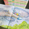 當(dāng)當(dāng)正版童書 小小牛頓幼兒館STEAM系列全套60冊 兒童科普百科全書 3歲以上適讀 培養(yǎng)孩子科學(xué)思維 動手能力和創(chuàng)新精神 小小牛頓幼兒館STEAM系列-自然(全6冊) 曬單實拍圖