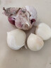 辰實(shí)【新干蒜】大蒜 云南紫皮大蒜 獨(dú)頭蒜三丫蒜 獨(dú)蒜紫皮大蒜臘八蒜 5斤大果（三丫蒜）推薦 曬單實(shí)拍圖
