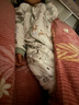 ibaby/英倫寶貝恒溫寶寶睡袋嬰兒防驚跳睡袋春秋分腿式兒童睡衣防踢被 【暖冬】森林游園(適合14-18℃) 【120碼】建議身高110-120cm 曬單實(shí)拍圖