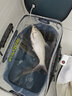 漁之源 魚桶活魚桶釣魚桶魚箱多功能折疊水桶活魚箱漁具 【直觀可視】50cm-31L藏藍色+泵 曬單實拍圖