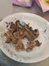 BangLeChef防飛濺不銹鋼核桃夾加厚耐用夾堅(jiān)果榛子開核桃神器核桃開殼工具 黑色-漏斗防飛濺款-加厚 曬單實(shí)拍圖