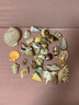 曦凰天然貝殼海螺殼海星珊瑚石兒童玩具裝飾擺件DIY卷貝魚寄居蟹 套餐十四:豪華收藏螺大套餐 曬單實拍圖