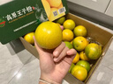 騎猴趕馬云南高原王子橙【褚系之作】禮盒送禮玉溪當季新鮮水果高山冰糖橙 10斤裝【花斑果 大小不一】普裝 曬單實(shí)拍圖