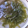 然緒海葡萄 鹽漬海葡萄新鮮即食長(cháng)壽菜海藻菜海菜壽司食用植物魚(yú)子醬 海葡萄 曬單實(shí)拍圖