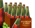 青岛啤酒（TsingTao）精酿高端系列 IPA印度淡色艾尔啤酒330ml*12瓶 整箱装 五一出游 实拍图