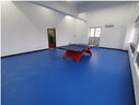 動(dòng)聯(lián)無(wú)界乒乓球地膠升級編織紋單位球館環(huán)保PVC運動(dòng)地板專(zhuān)業(yè)賽事加厚型6mm 曬單實(shí)拍圖