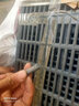 鵬實養(yǎng)殖兔籠商品籠/獺兔籠子大號子母兔籠特大/種兔籠/兔籠家用兔舍 加粗9籠位朔料底整套 曬單實拍圖