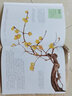 奇妙的中國(guó)植物（全4冊(cè)）200種中國(guó)植物的自然課，飽覽植物之美的收藏級(jí)繪本 曬單實(shí)拍圖
