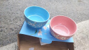 简漾礼品碗套装家用吃饭套碗碗碟青花瓷碗陶瓷碗筷套装餐具 天蓝色_手绘雪梅单两碗 实拍图
