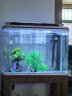鱼之宝（Fish treasure）鱼缸水族箱金鱼缸生态鱼缸过滤器玻璃鱼缸懒人家用客厅彩灯鱼缸 p6智能生态鱼缸 实拍图