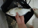 釣嗨尼魚(yú)線(xiàn)主線(xiàn)海釣線(xiàn)超強柔軟拉力德國原絲尼龍路亞海桿海釣釣魚(yú) 曬單實(shí)拍圖