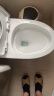 粉兰之家 蓝泡泡洁厕灵厕所马桶清洁剂去异味洁厕宝卫生间除臭洁厕块30粒 实拍图
