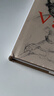 經(jīng)典全集《梵高手稿》文森特凡高畫(huà)作書(shū)信集珍貴手稿草圖人物傳記 印象派大師油畫(huà)臨摹創(chuàng  )意素描風(fēng)景速寫(xiě)繪畫(huà)作品書(shū)籍 楊建飛 曬單實(shí)拍圖