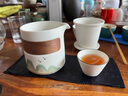 阿貍的愛(ài)觀(guān)山旅行茶具整套套裝便捷式泡茶杯伴手禮商務(wù)禮品男生生日禮物男 雅白快客杯一壺三杯帶收納包 教師節禮物男女老師退休伍紀念品 曬單實(shí)拍圖