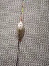 黃金眼競技鯽魚(yú)漂黑坑鯉魚(yú)漂醒目漂尾釣魚(yú)漁具用品 Q6細尾 3號一支 曬單實(shí)拍圖
