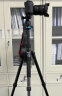 百诺（Benro）IT19CM2 专业反折独脚架双水平球形云台微单反相机手机夹便携旅行摄影摄像碳纤维三脚架套装 实拍图
