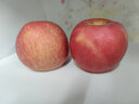 山丘二十里脆甜多汁今年新果山東煙臺棲霞紅富士蘋(píng)果75mm中果10斤帶箱實(shí)惠裝 曬單實(shí)拍圖
