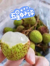 味小仙【順豐冷鏈】海南妃子笑荔枝 早熟荔枝 新鮮應(yīng)急水果 2.5斤禮盒裝（單果20-27g） 曬單實拍圖