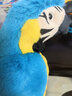 惠妮寶貝仿真鳥(niǎo)兒金剛鸚鵡公仔毛絨玩具玩偶可愛(ài)小鳥(niǎo)布娃娃兒童生日禮物 綠色鸚鵡  25厘米 曬單實(shí)拍圖