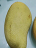 京興果海南金煌水仙芒果10斤新鮮水果孕婦大果黃皮金煌甜心芒當季整箱 大果5斤裝 曬單實(shí)拍圖