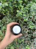班露啤酒法蘭西限定版 班露啤酒 250mL 6瓶 組合裝 曬單實(shí)拍圖