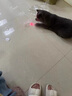 小貓喵喵寵物激光筆逗貓貓玩具鐳射紅外線不銹鋼電子燈逗貓棒貓咪用品 顏色隨機(jī)1個(gè)裝 曬單實(shí)拍圖
