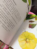 世界上最最溫馨的家 （愛心樹童書） 曬單實拍圖